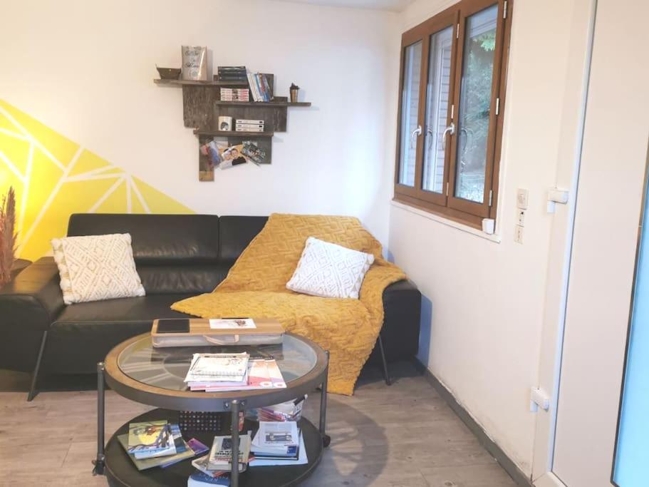 Chez Nathalie&Maxime Apartment Soreze Ngoại thất bức ảnh